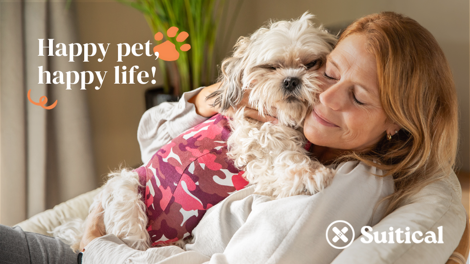 Suitical International B.V.