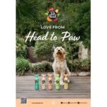 Pet Head Brand Leaflet