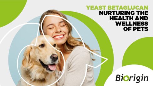 Yeast betaglucan: Nurturing the health and wellness of pets