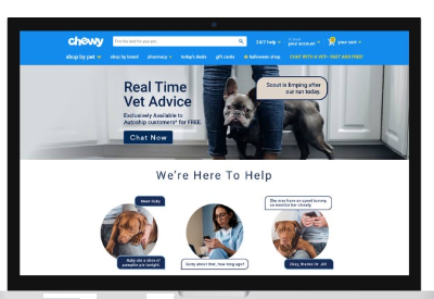 Chewy launches virtual vet visits as pandemic fuels pet boom