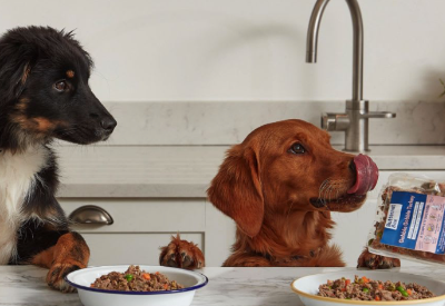 Harbert European Growth Capital Fund II provides Butternut Box (UK) with Debt Capital