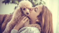 Pet Village Srl | Italy