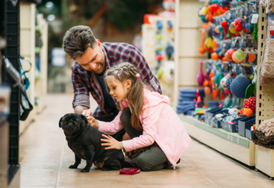 Morgan Stanley: pet care sales to reach 5 billion in 2030