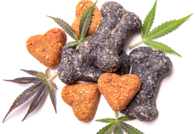 CBD company Real Brands acquires R&D bioscience lab