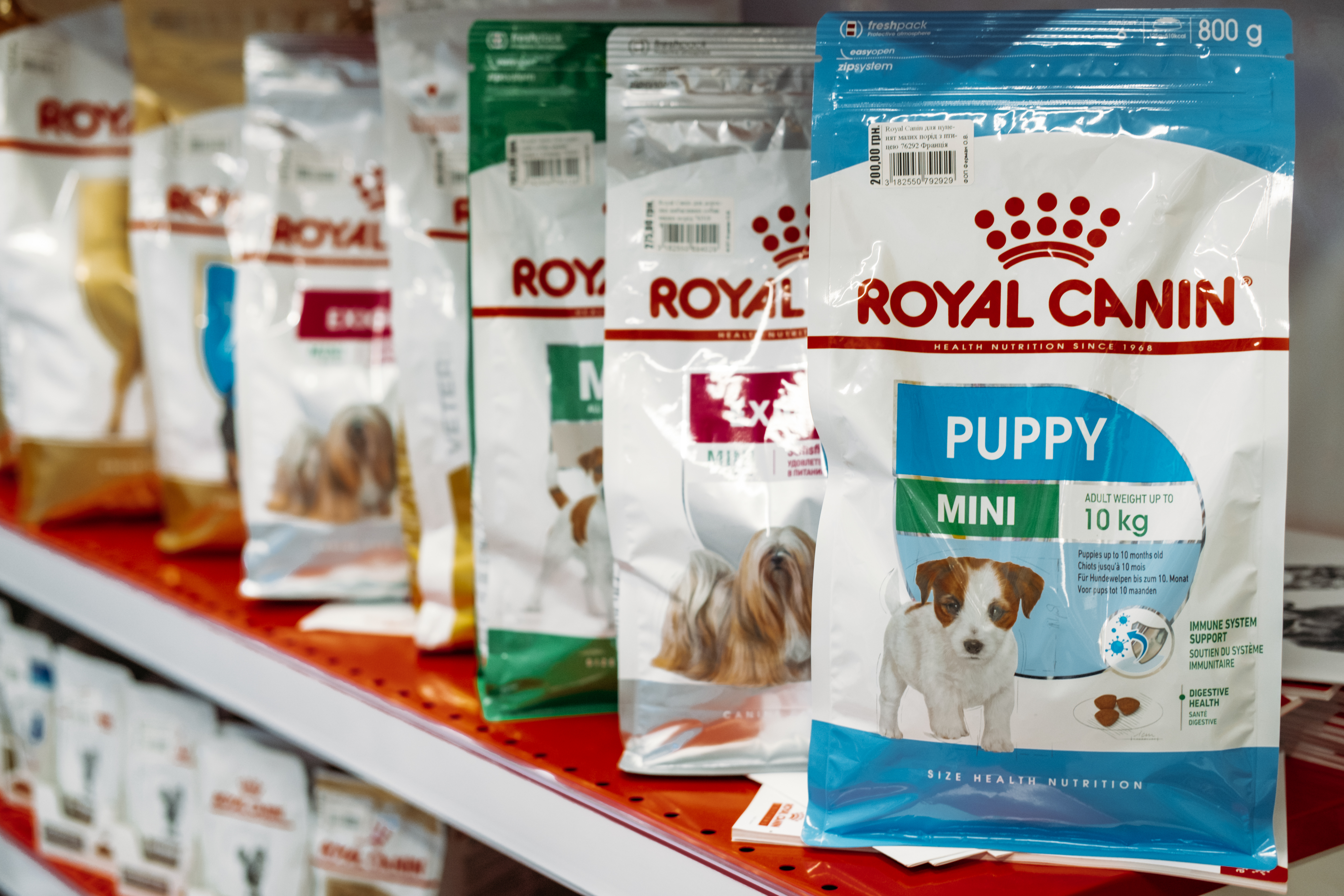 Global pet clearance foods royal canin