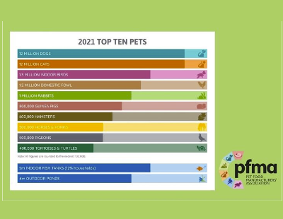 3.2 million UK homes with a new pet since start pandemic