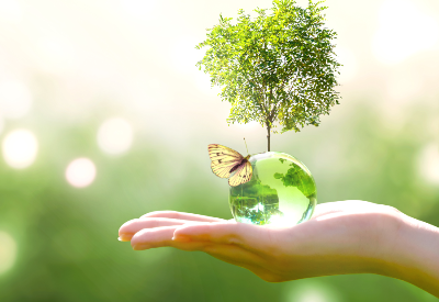 Consumers seeking sustainability in food—pet food, too