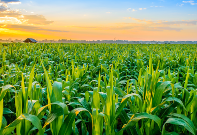 Trouw Nutrition acquires ADM feed facility