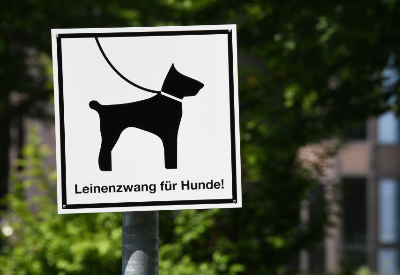 New study from ZZF reveals sales increase across German pet industry in 2020