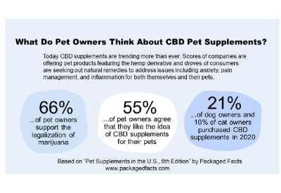 What do Pet Owners think about CBD supplements?