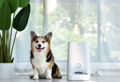 Dogness expands cooperation with top Chinese e-commerce company