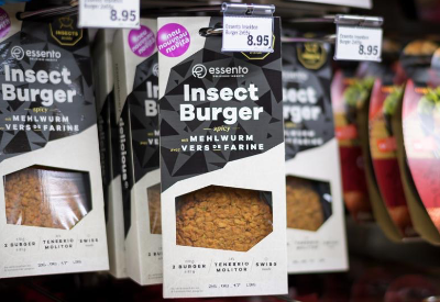 Insect Market To Explode: EU Gives Green Light To Eating Mealworm