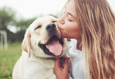 Strategic distribution between Bayer Animal Health and Biobercia