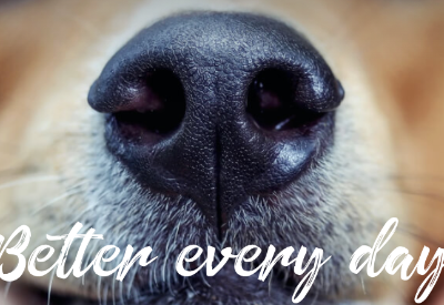 Growth investment in Montego (South Africa)