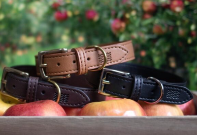 ‘Groundbreaking’ Vegan Dog Leashes Are Strong Like Leather, But Made From Apples