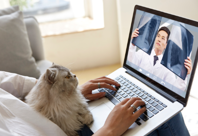 China’s largest pet-focused platform Boqii launches IPO in the US
