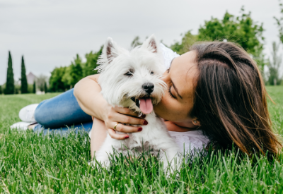 C.J. Foods, Inc. to Acquire American Nutrition, Inc