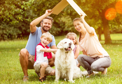 Finding the Silver Lining in Pandemic-Era Pet Food