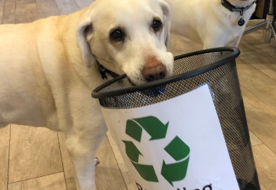 Company of Animals are the winner of “Resource Efficient Pack Of The Year” by UK Packaging Awards 2020