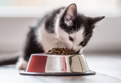 JD.com and Mars launcehd a high-end C2M cat food product