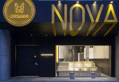 Chinese store Nova Pets encourages owners, pets to hang out