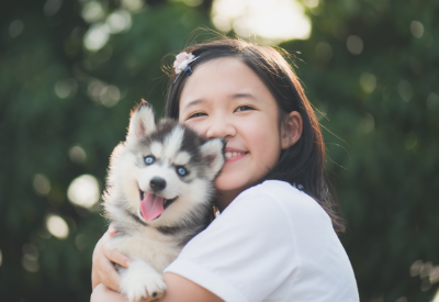 Increased monitoring on pet food safety in South Korea