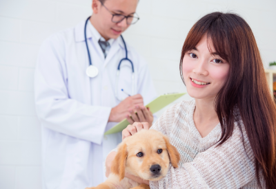 Chinese pet owners call for tighter regulations amid high veterinarian costs