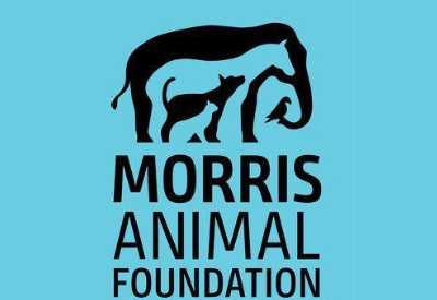 Morris Animal Foundation Receives 0K from Petco Foundation and Blue Buffalo Company for Pet Cancer Research
