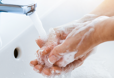 Cosmos Corporation (Tropiclean) Converts Production lines to develop hand sanitizer