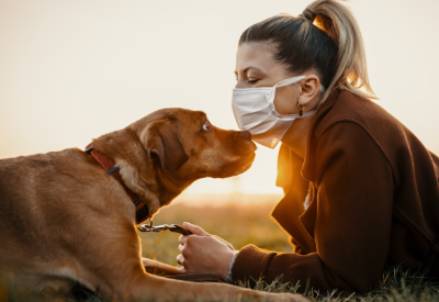 Can Your Pets Get Coronavirus? What Experts Say