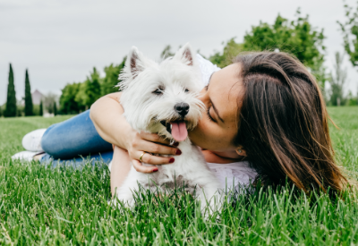 Purina products drove global sales for Nestlé in 2019