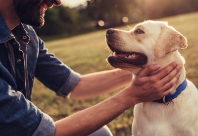 Smucker’s premium dog food sales continue in decline