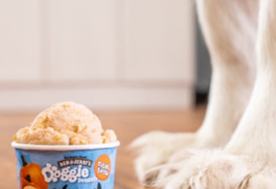 Ben & Jerry’s makes dog ice cream as pet food industry grows