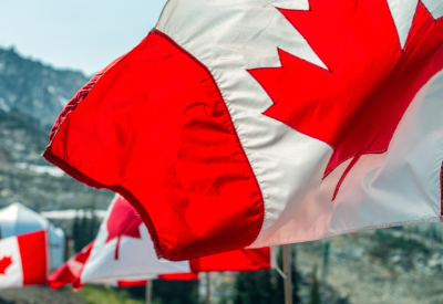 Canadian Pet Market Survey 2020