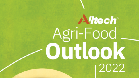 Global pet food production rose 8.2% in 2021 impacted by increase in demand