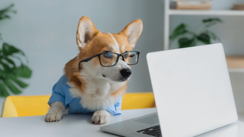 2022 in review: top 10 most-read articles of the year