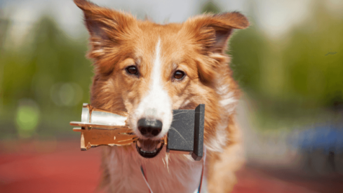 Apply now to win the CIPS Innovation Award