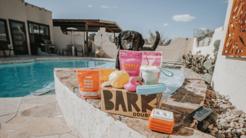 BARK sees in consumables an opportunity for growth