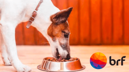 Brazilian food giant BRF to sell its pet food portfolio