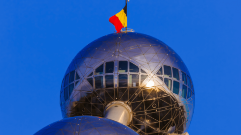 Belgian households with pets increased by 2% in the last year