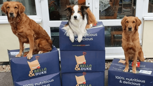 UK pet food subscription company raises £7 million