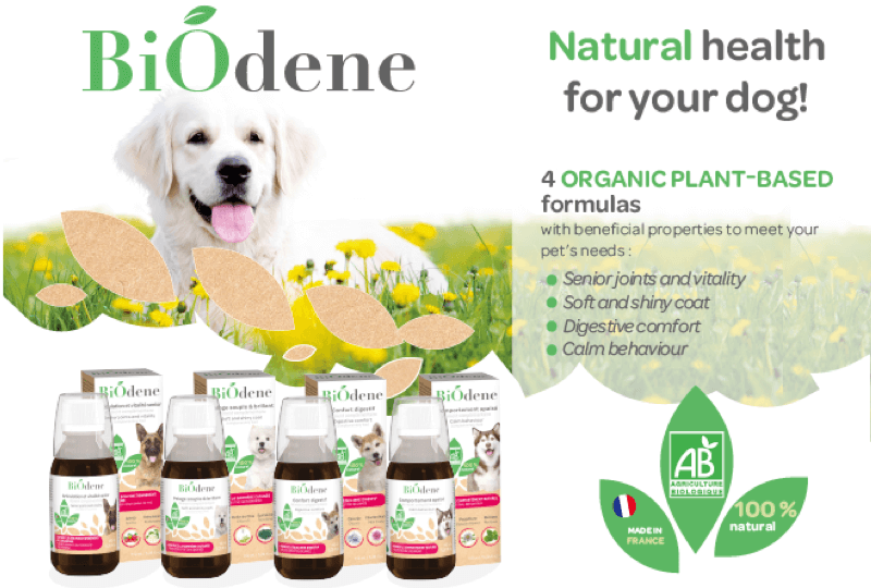 Biodene Complementary Food