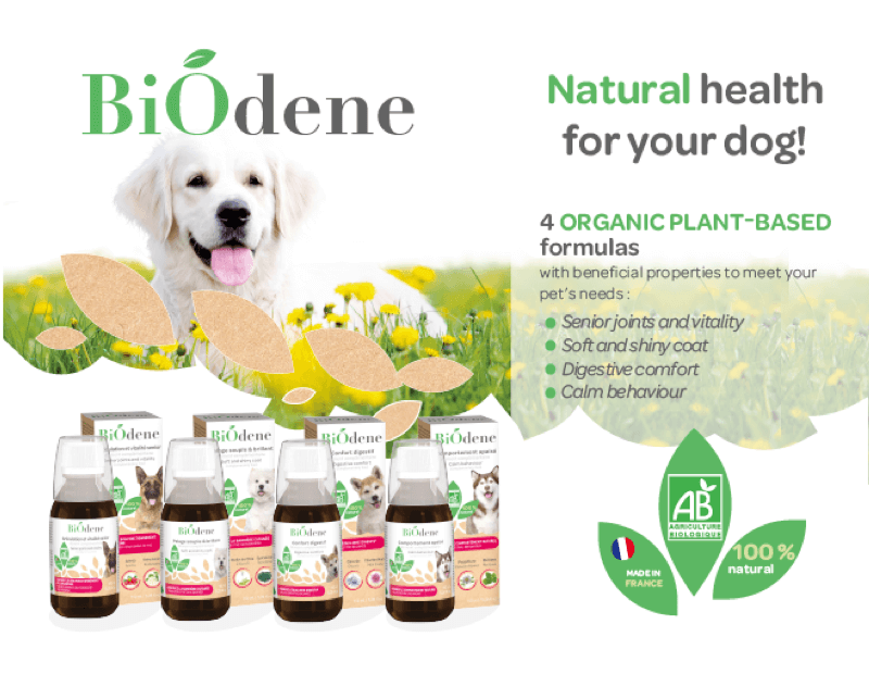 Biodene Complementary Food