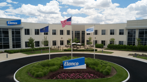 BiomEdit: a new animal health company is born