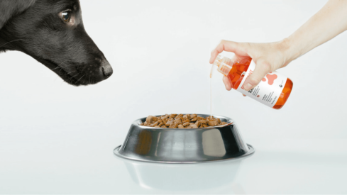Brilliant Salmon Oil to expand distribution across pet specialty retail channel