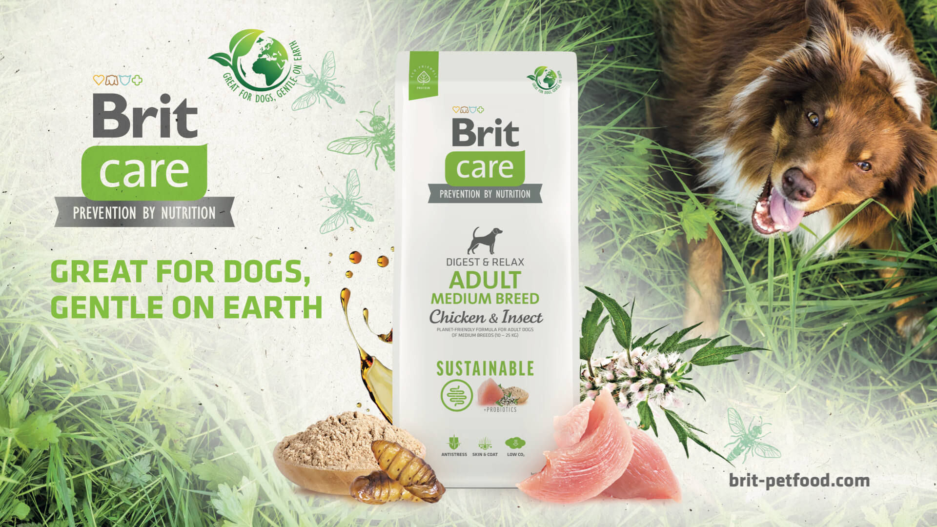 New Brit Care Sustainable: We love nature the same way our dogs do