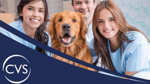 CVS Group’s business jump boosted by increase in pet population