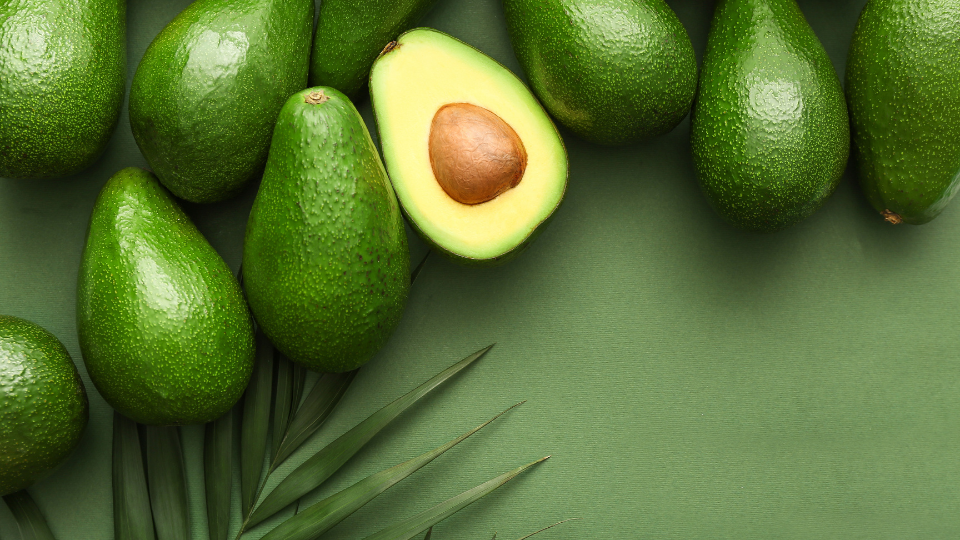 Is avocado as good for pets as it is for humans?