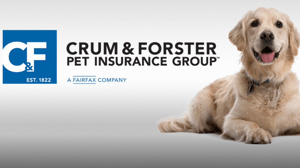 Pinnacle takes over UK operations of American pet insurance