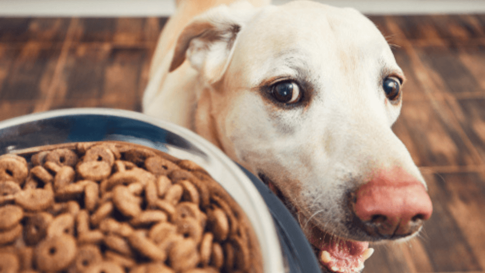 Enhancing the taste of food for pets